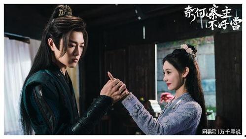 奈何寨主不好当,权谋与挑战并存的人生历程  第3张